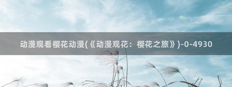 樱花动漫缘之空